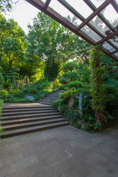 南宁青秀山风景区荫生植物园