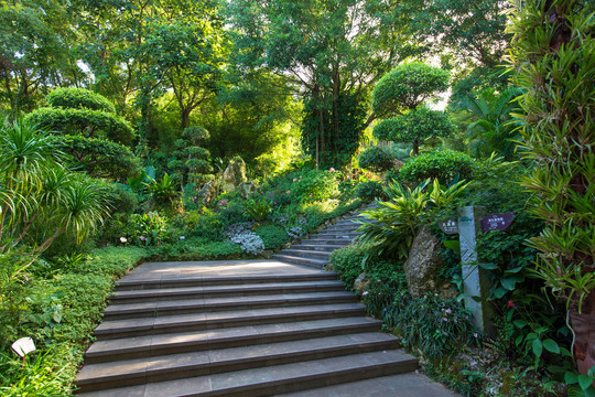 南宁青秀山风景区荫生植物园