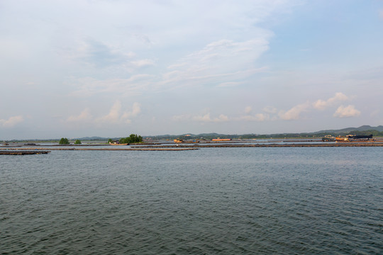 钦州茅尾海