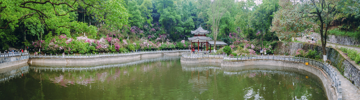 桂林雁山植物园