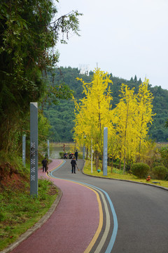 遂宁鹭栖湖