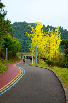 遂宁鹭栖湖