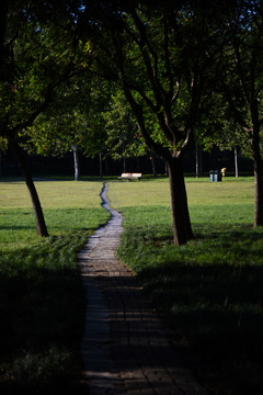 公园里幽静的小路