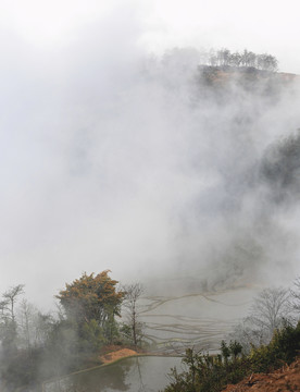 云南元阳水墨梯田自然景观