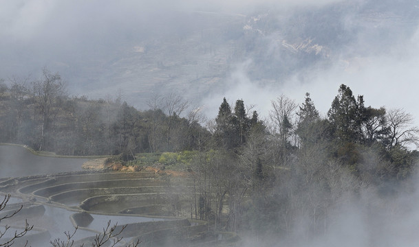 元阳哈尼族梯田自然风光