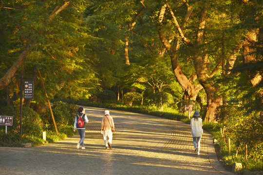 唯美夕阳道路上的行人