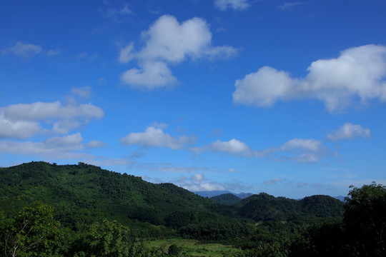 高山白云