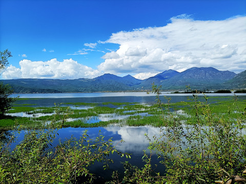 拉市海湿地公园