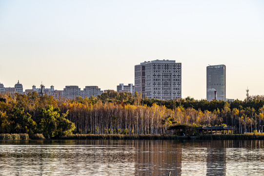 中国长春南湖公园秋季景观