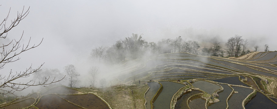 蜿蜒雾色梯田自然景观