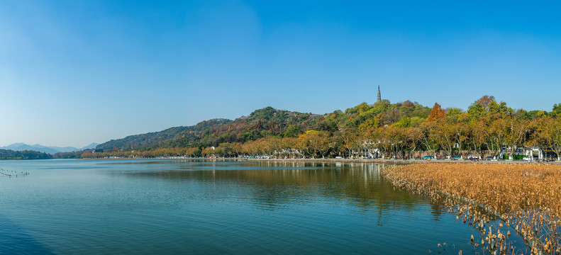 西湖秋天