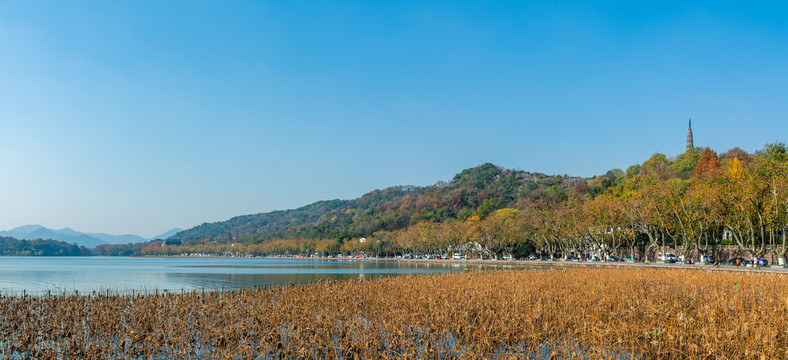 西湖秋景