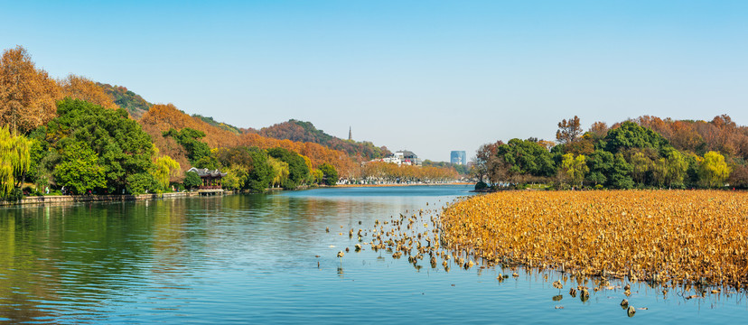 西湖风光