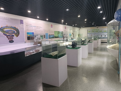 古生物及矿石展