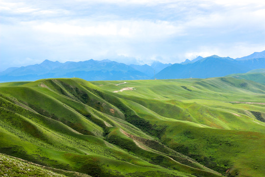 伊犁喀拉峻风景