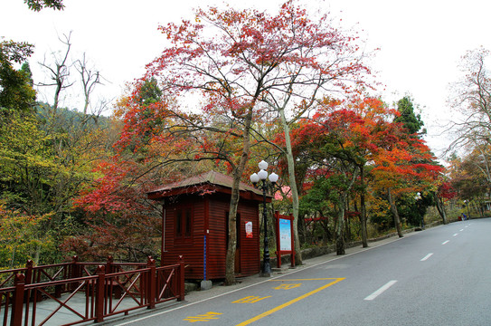 江西庐山