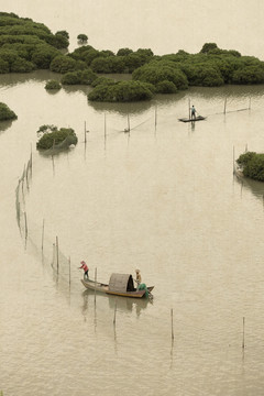 鹅湾滩涂