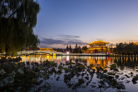 西安大唐芙蓉园建筑风景