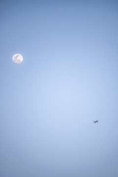 白色月亮下的飞机