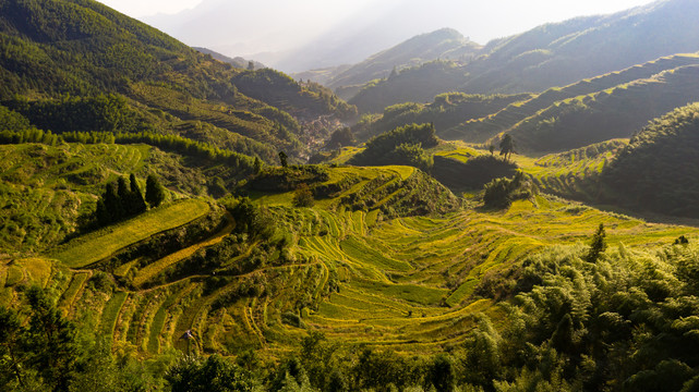 运河梯田