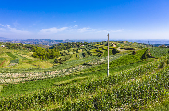 山沟梯田