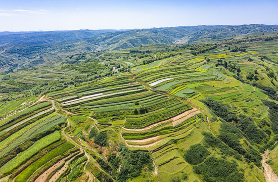 高原梯田