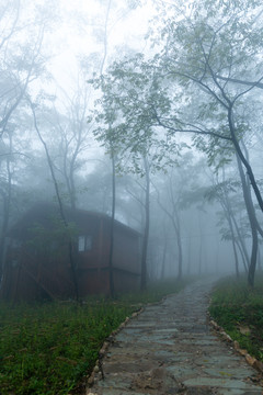 青云山云霧