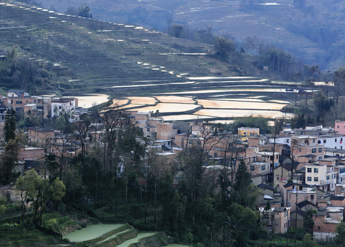 云南元阳梯田自然景观