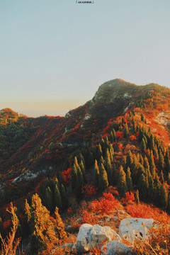 山区秋景黄叶