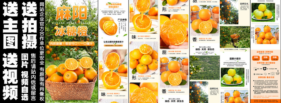 麻陽(yáng)冰糖橙詳情