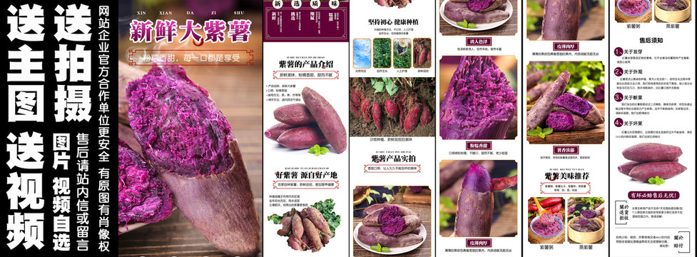 新鲜大紫薯详情