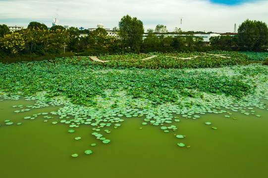 航拍西湖公园