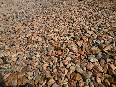 海边石子