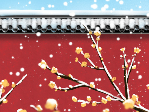 冬天下雪宫墙外的腊梅花风景