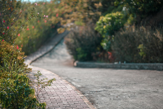 景区的小路