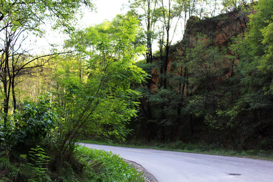 山路