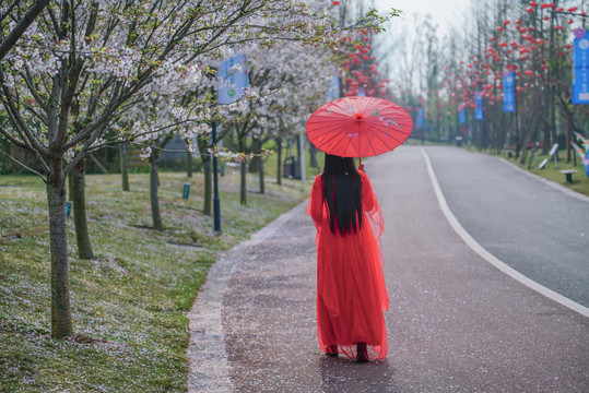 打伞的女人背影