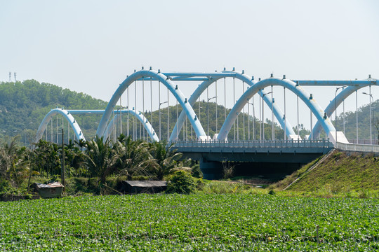 春天的沙美村