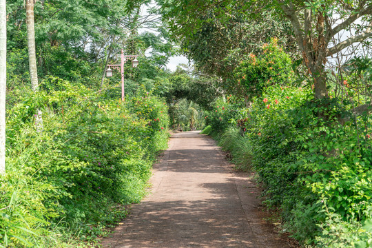 綠樹田園小徑