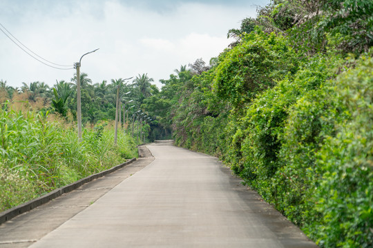 乡间小路