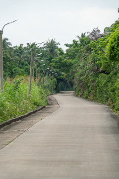 乡间小路