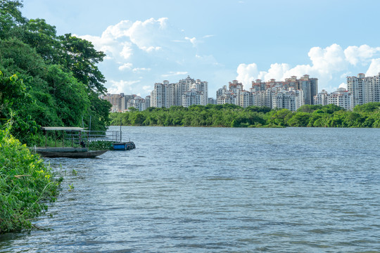 海南琼海万泉河热带河流风光