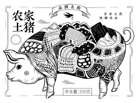 農(nóng)家黑土豬肉跑山豬包裝插畫(huà)線稿