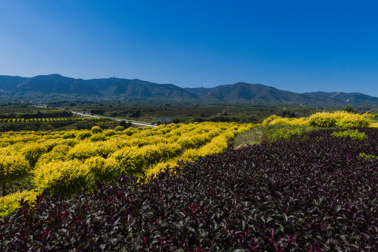 青山绿水