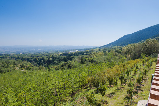 青山绿水