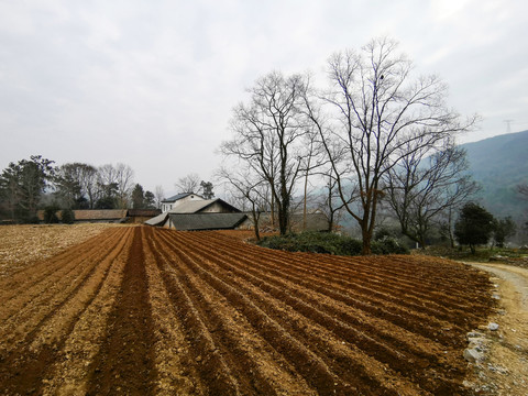 山村耕地