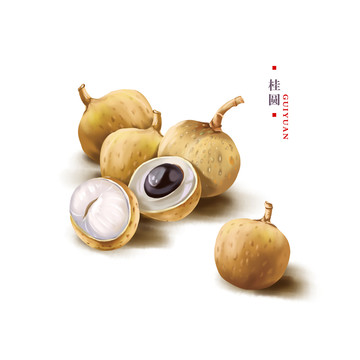 桂圓