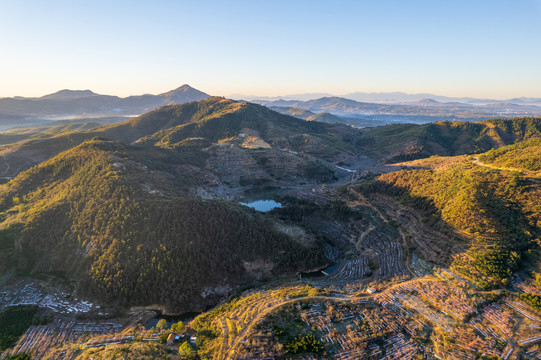 航拍沂蒙山区漫山遍野的果园