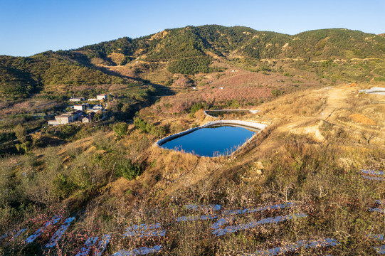 航拍沂蒙山区漫山遍野的果园