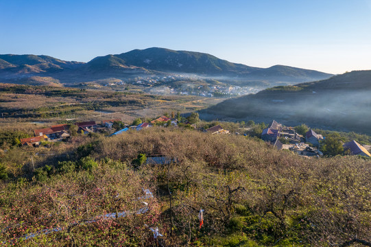 航拍沂蒙山区漫山遍野的果园